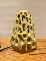 LUMA Morchella - Image 2