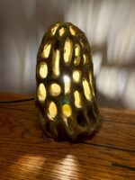 LUMA Morchella - Image 3