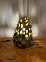 LUMA Morchella - Image 4